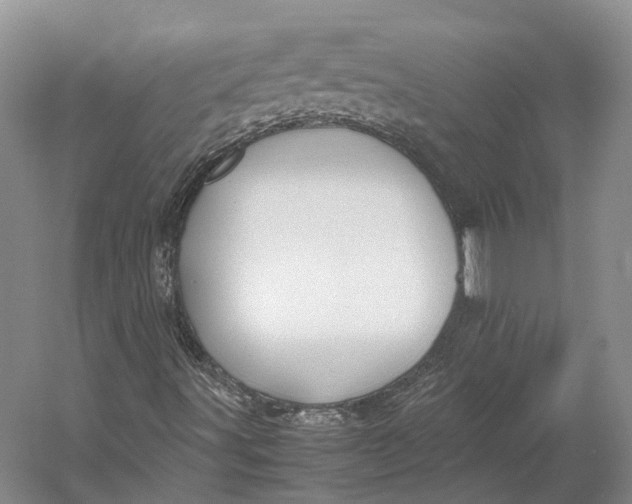 X0000060781491200512011624