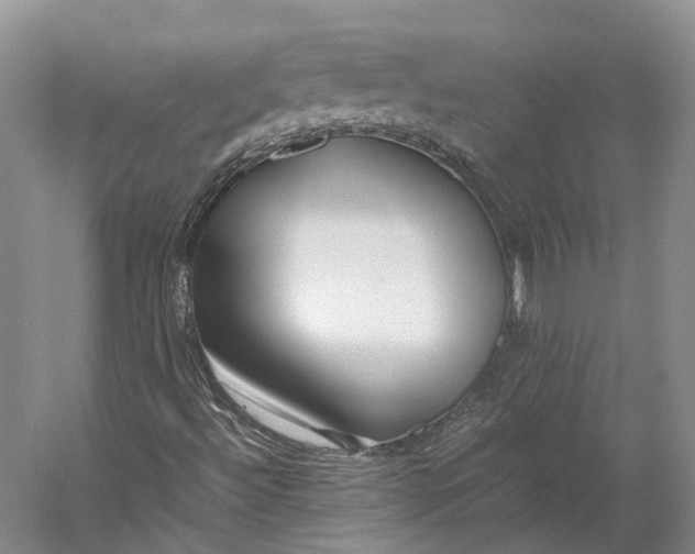 X0000060781492200512011624