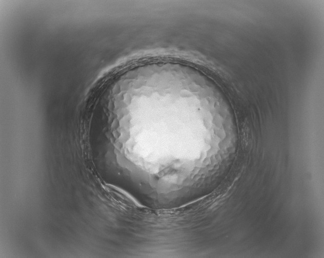 X0000060781494200512011624