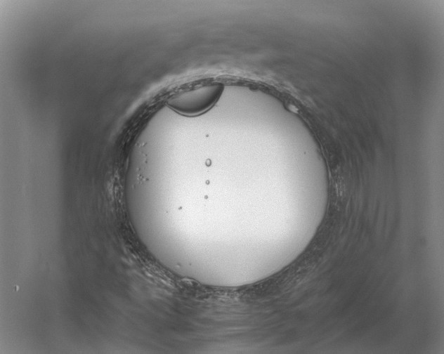 X0000060781495200512011624