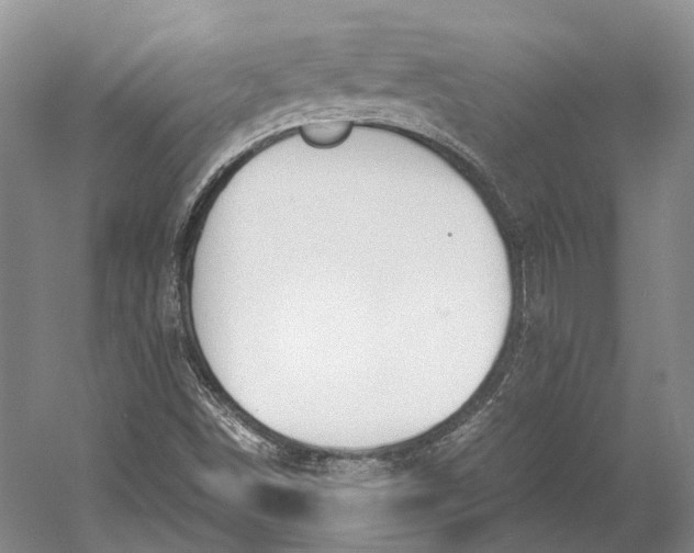 X0000060781498200512011624