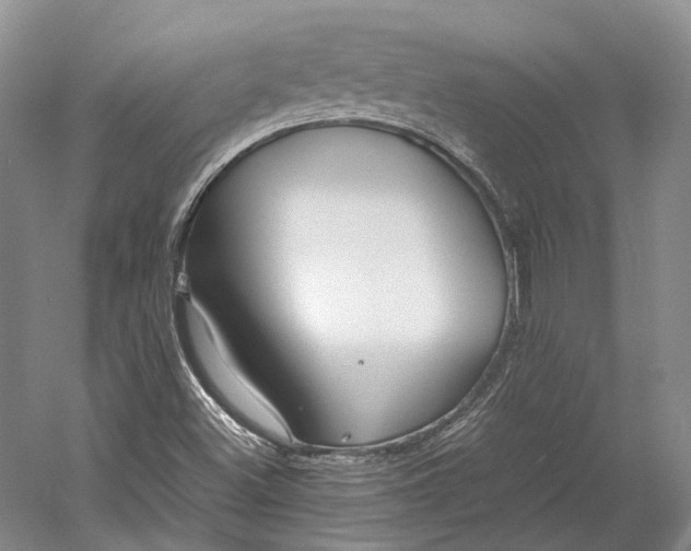 X0000060781500200512011624