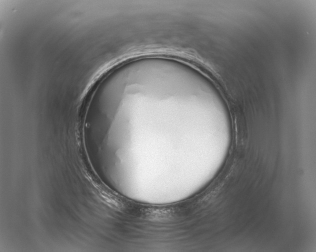 X0000060781501200512011624