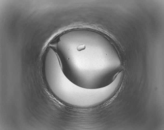 X0000060781502200512011624