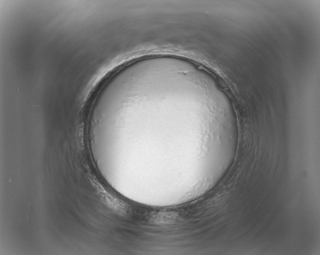 X0000060781503200512011625