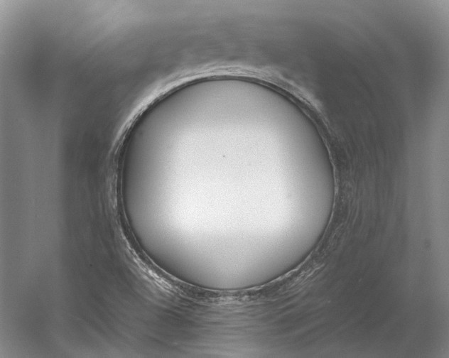 X0000060781504200512011625