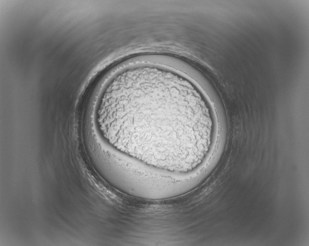 X0000060781506200512011625