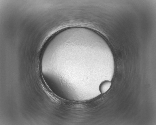 X0000060781507200512011625