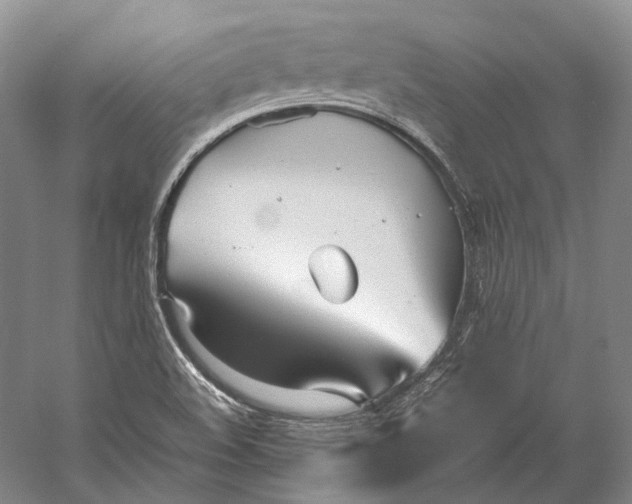 X0000060781508200512011625