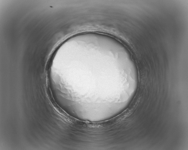 X0000060781509200512011625