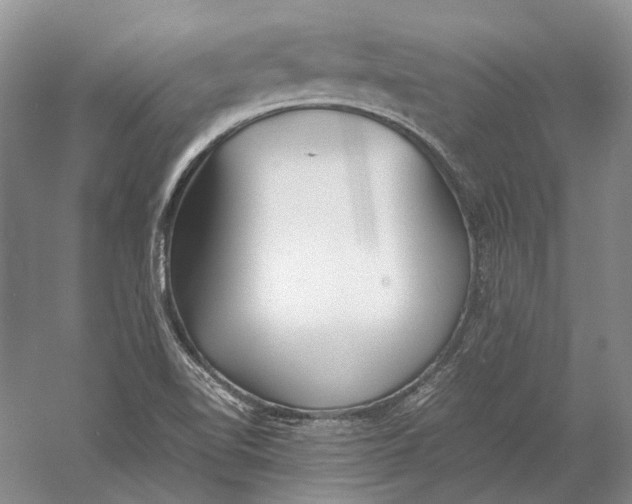 X0000060781510200512011625