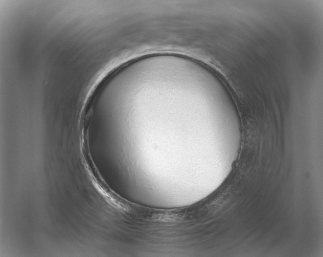 X0000060781511200512011625