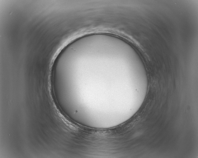 X0000060781512200512011625