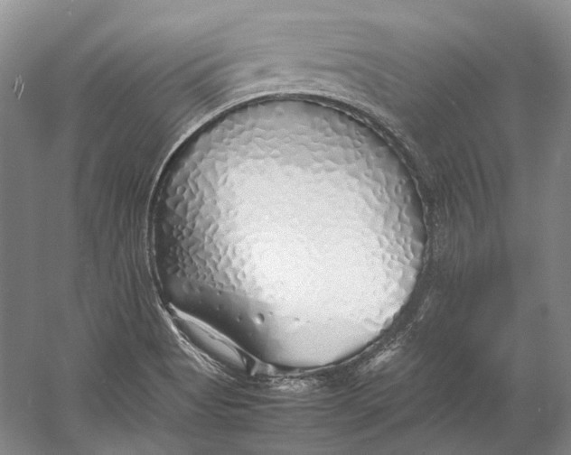 X0000060781513200512011625