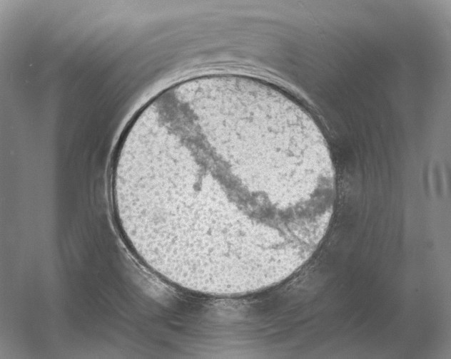 X0000060781514200512011625