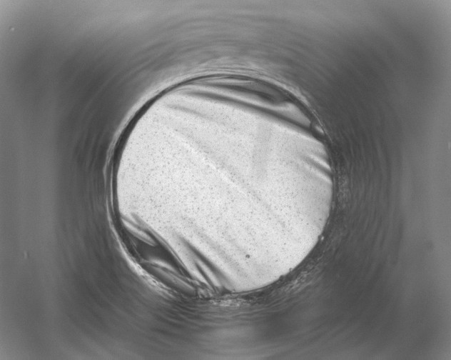 X0000060781515200512011625