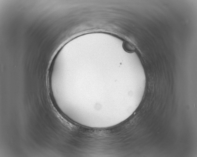 X0000060781516200512011625