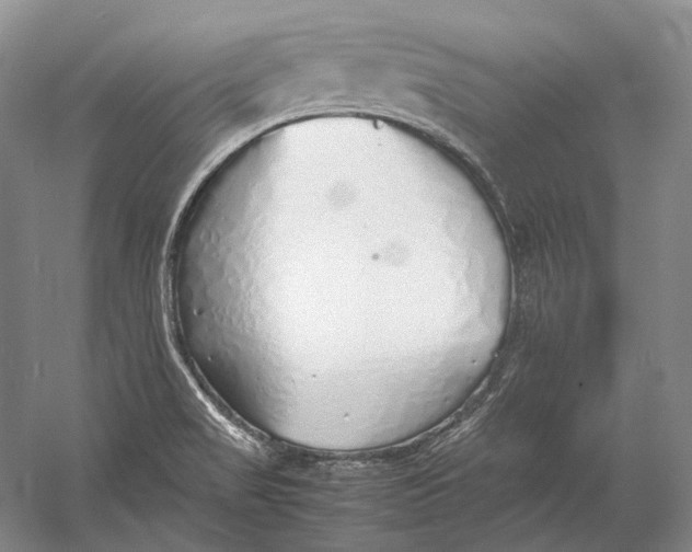 X0000060781517200512011625