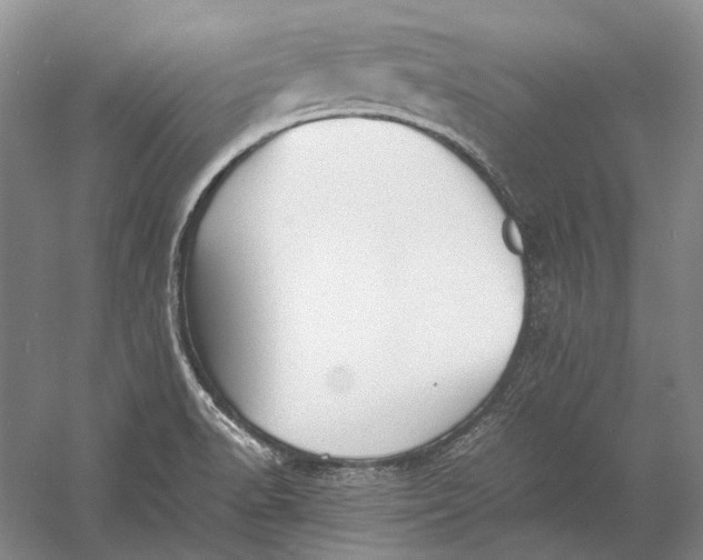 X0000060781518200512011625