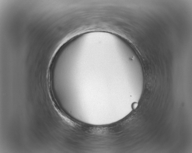 X0000060781519200512011625