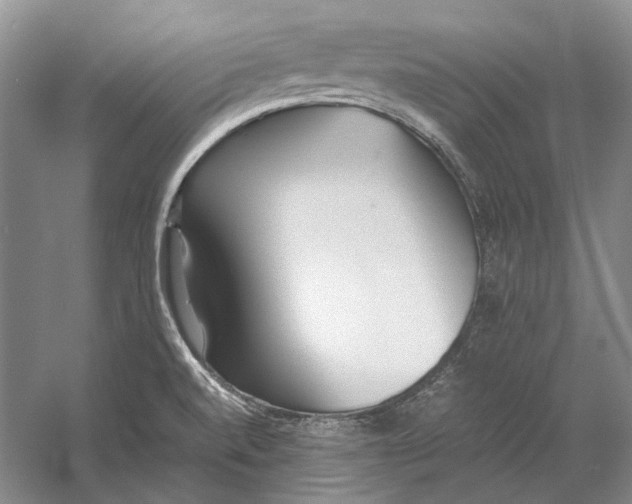 X0000060781520200512011625