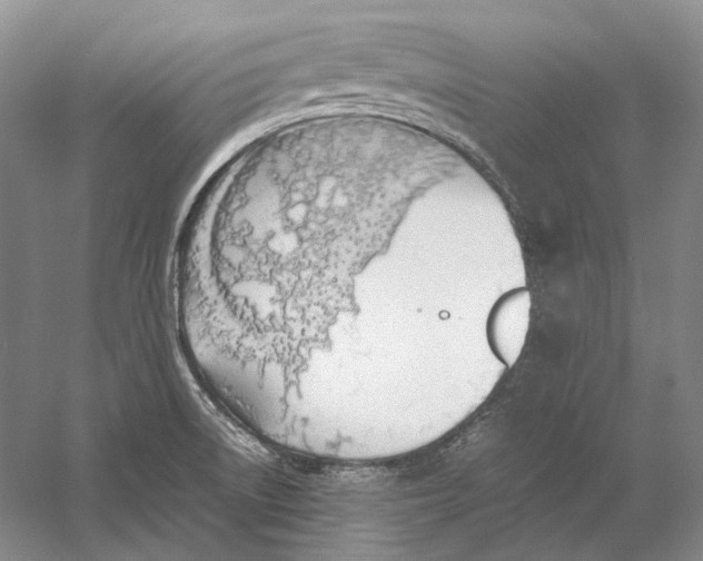 X0000060781522200512011625