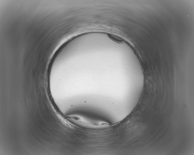 X0000060781523200512011625