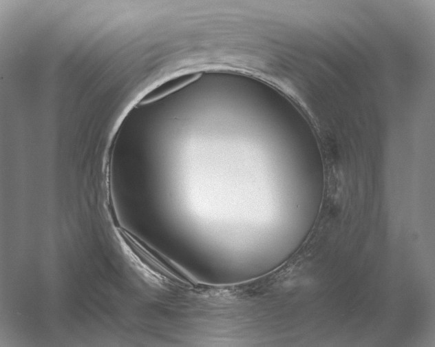 X0000060781524200512011625