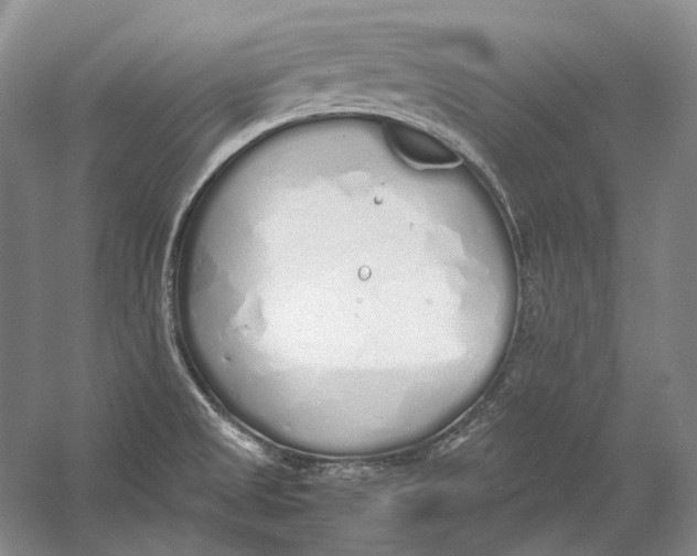 X0000060781525200512011625