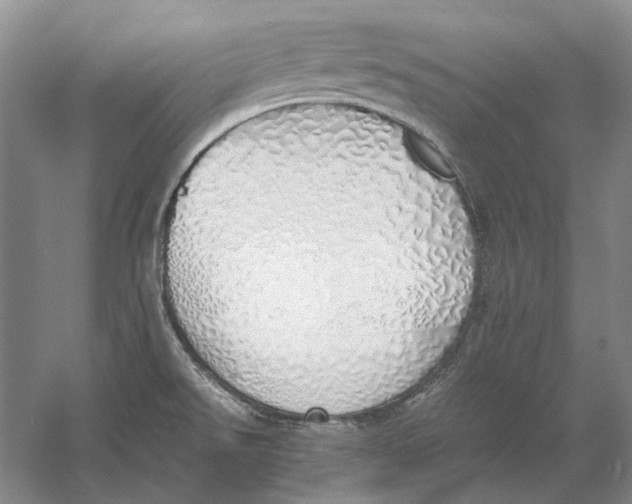 X0000060781526200512011625