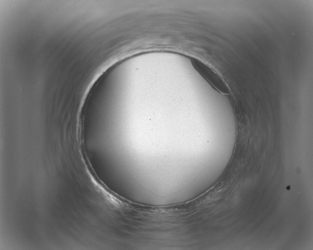 X0000060781527200512011625