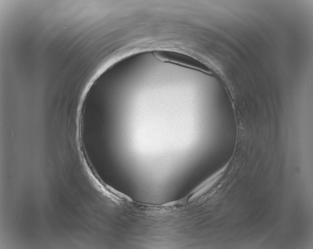 X0000060781528200512011625