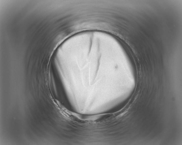 X0000060781529200512011625