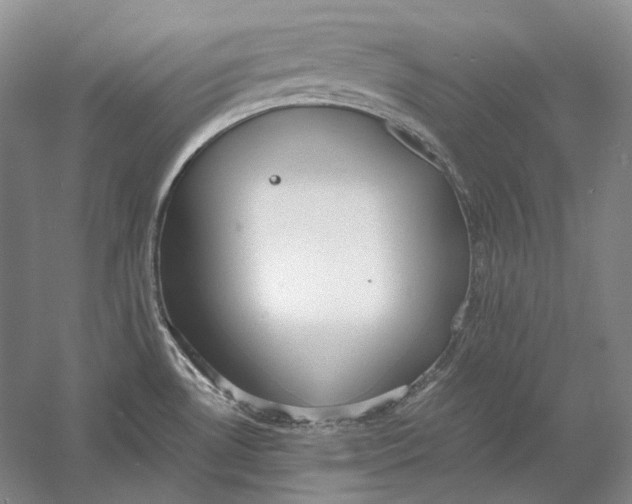 X0000060781530200512011625