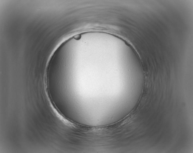 X0000060781531200512011625