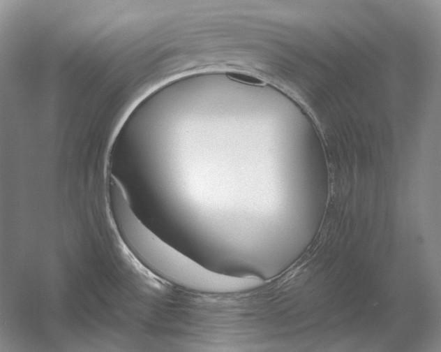 X0000060781532200512011625