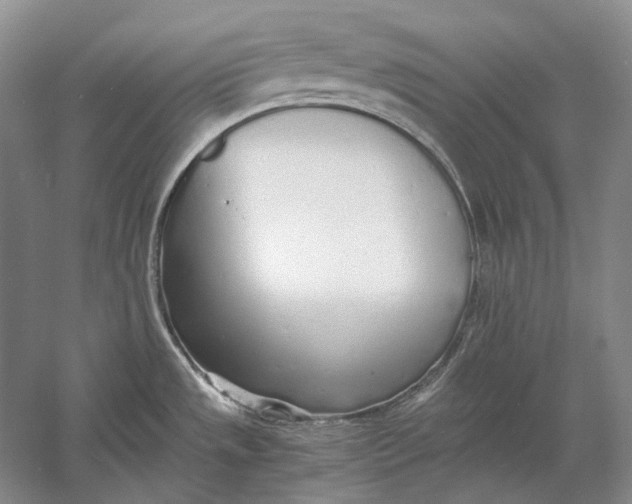 X0000060781533200512011625