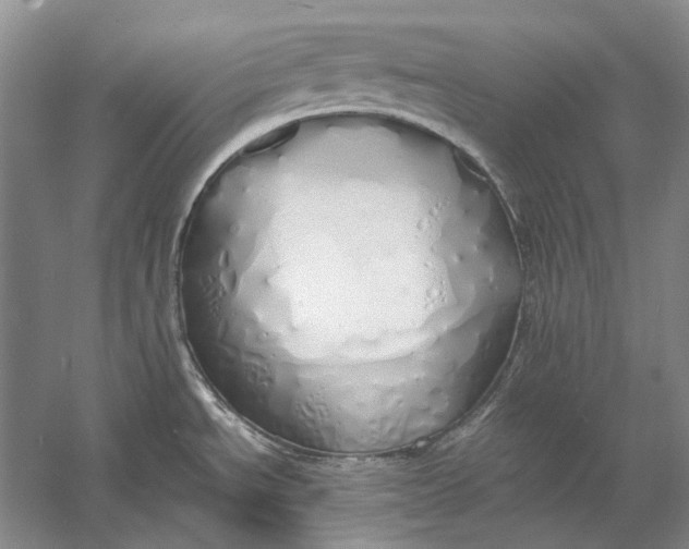 X0000060781534200512011625