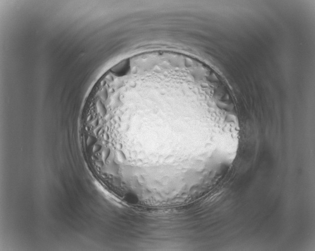 X0000060781535200512011625