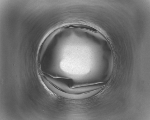 X0000060781536200512011625