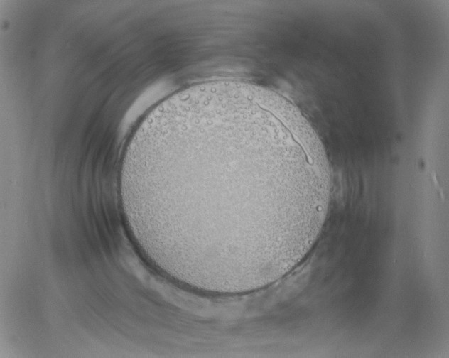 X0000060780004200512082110