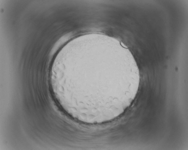 X0000060780006200512082110