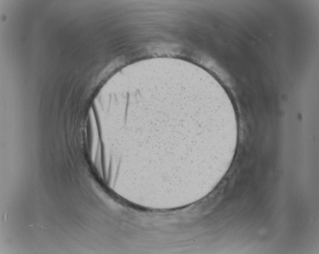 X0000060780009200512082110