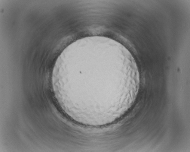 X0000060780018200512082110