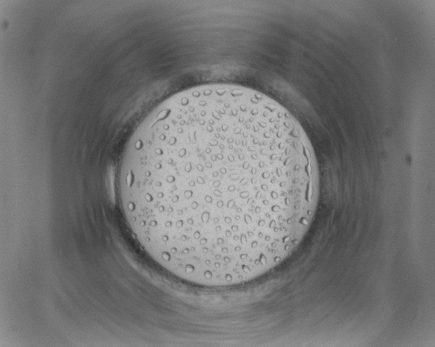 X0000060780022200512082110