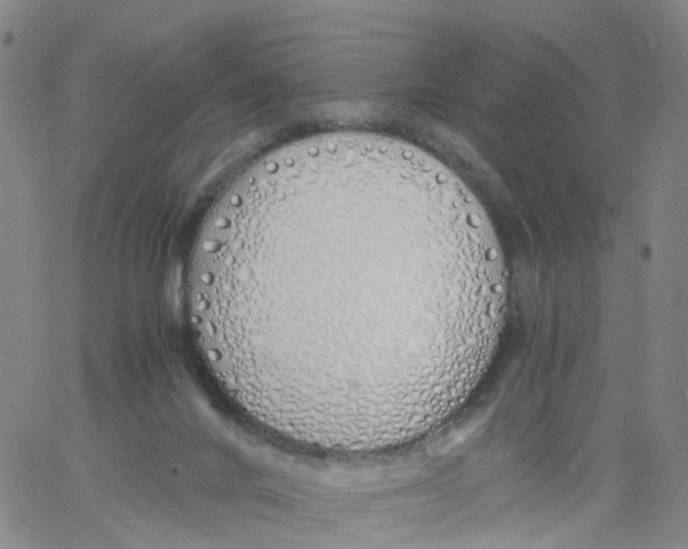 X0000060780024200512082110