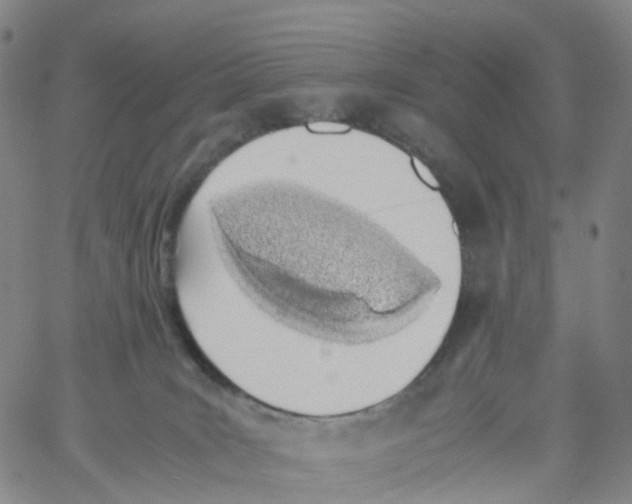 X0000060780035200512082110