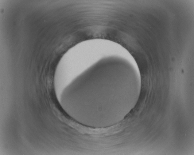 X0000060780039200512082110