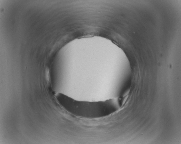 X0000060780041200512082110
