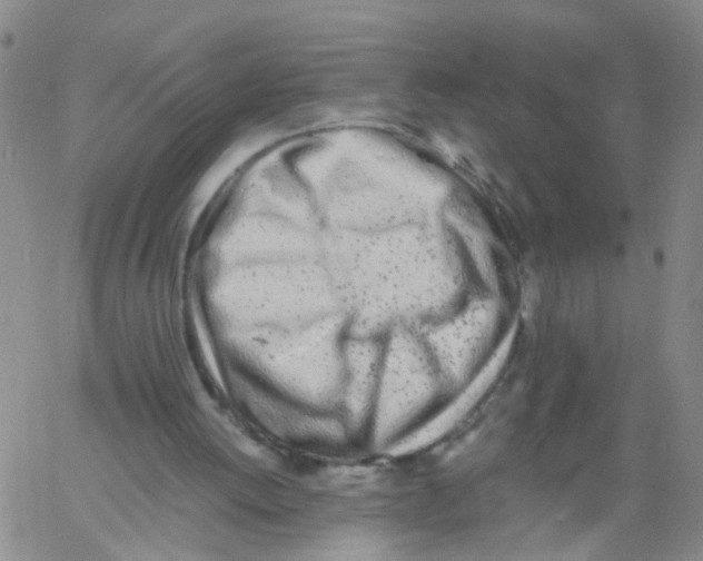 X0000060780052200512082109